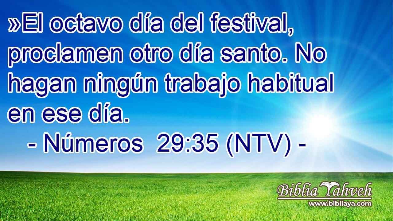 »El octavo día del festival, proclamen otro día santo. No hagan ningún trabajo habitual en ese día.