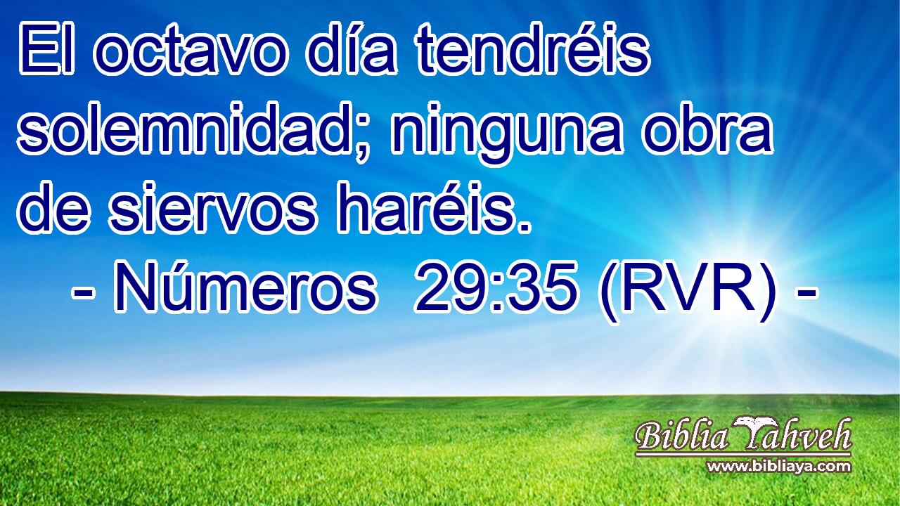 El octavo día tendréis solemnidad; ninguna obra de siervos haréis.