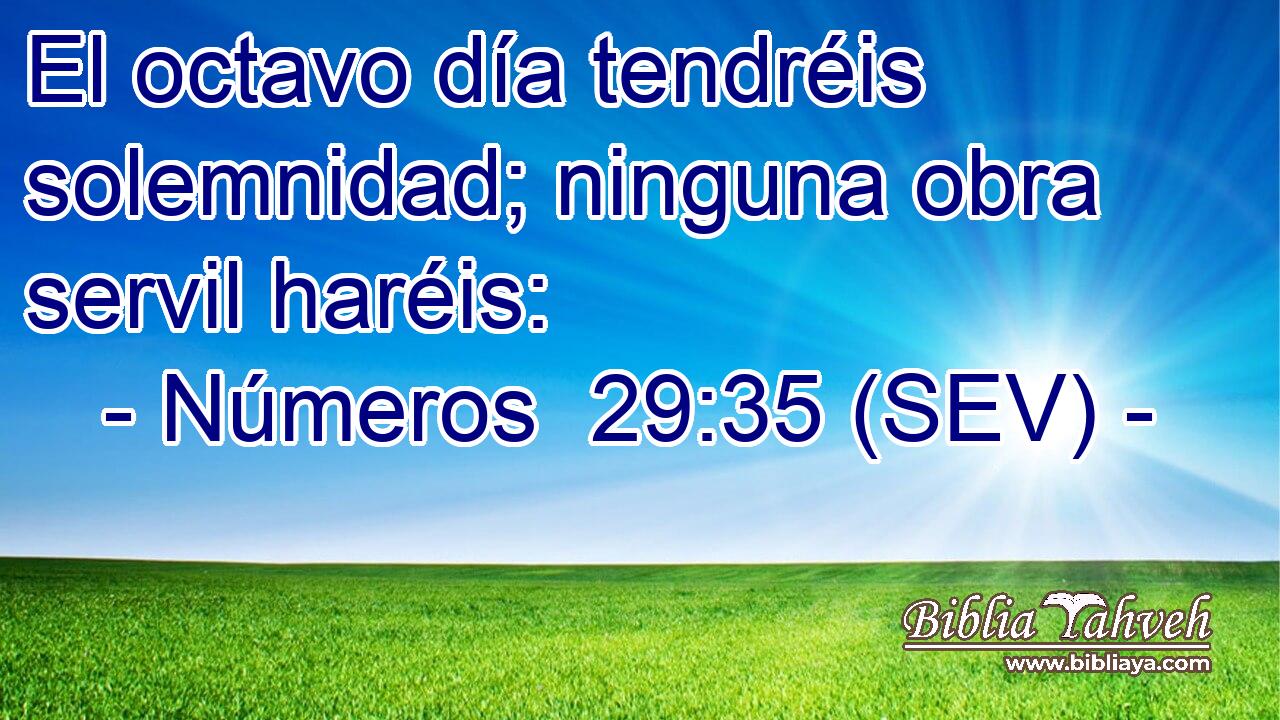 El octavo día tendréis solemnidad; ninguna obra servil haréis: