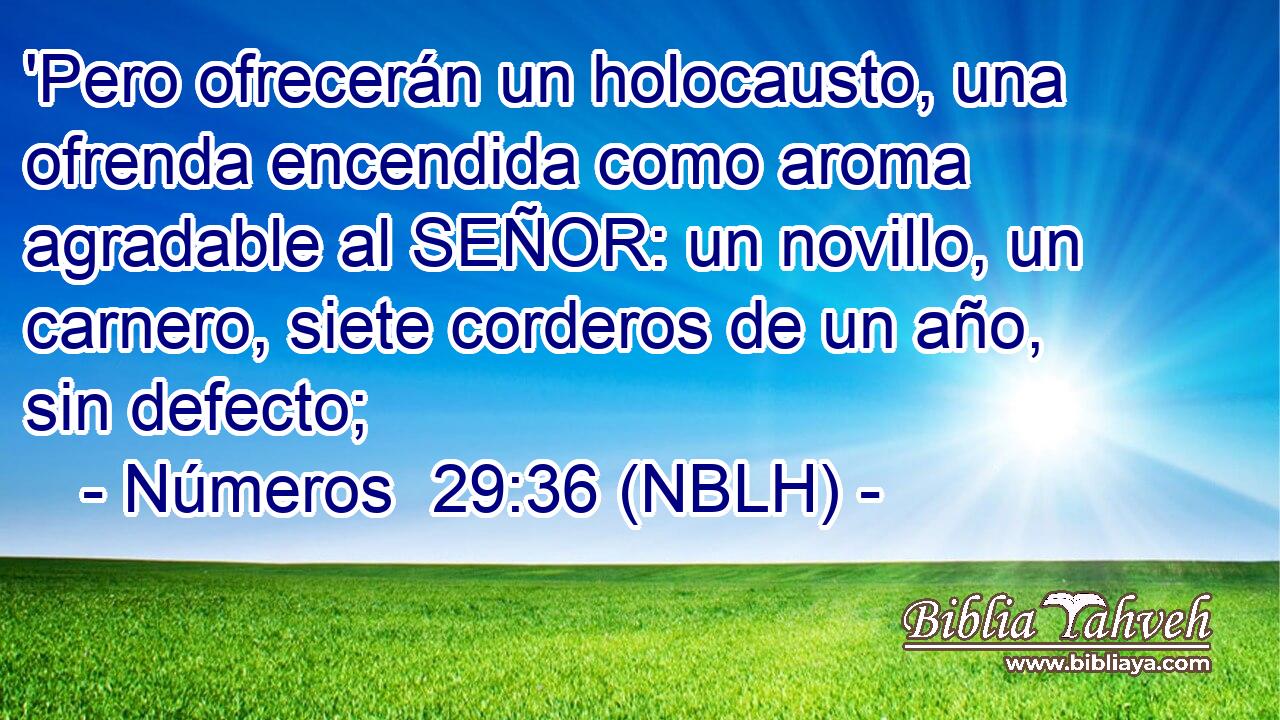  'Pero ofrecerán un holocausto, una ofrenda encendida como aroma agradable al SEÑOR: un novillo, un carnero, siete corderos de un año, sin defecto; 
