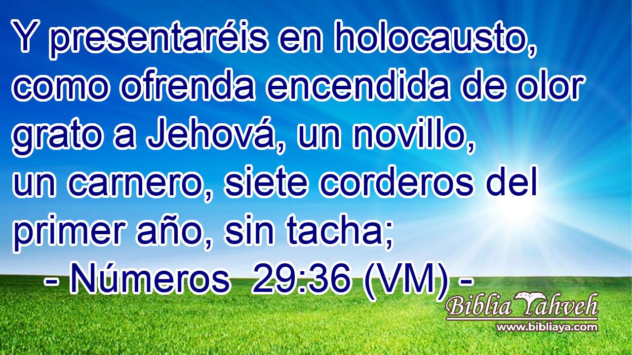  Y presentaréis en holocausto, como ofrenda encendida de olor grato a Jehová, un novillo, un carnero, siete corderos del primer año, sin tacha; 