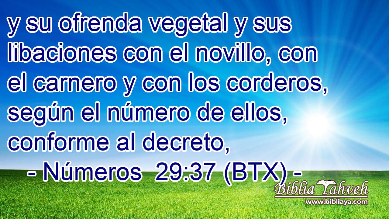 y su ofrenda vegetal y sus libaciones con el novillo, con el carnero y con los corderos, según el número de ellos, conforme al decreto,