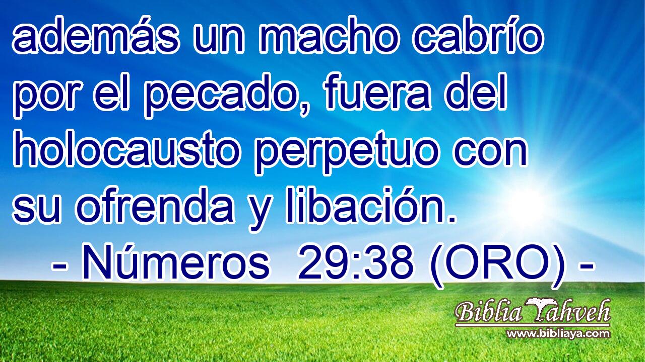  además un macho cabrío por el pecado, fuera del holocausto perpetuo con su ofrenda y libación. 