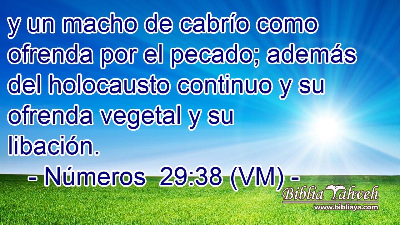  y un macho de cabrío como ofrenda por el pecado; además del holocausto continuo y su ofrenda vegetal y su libación. 