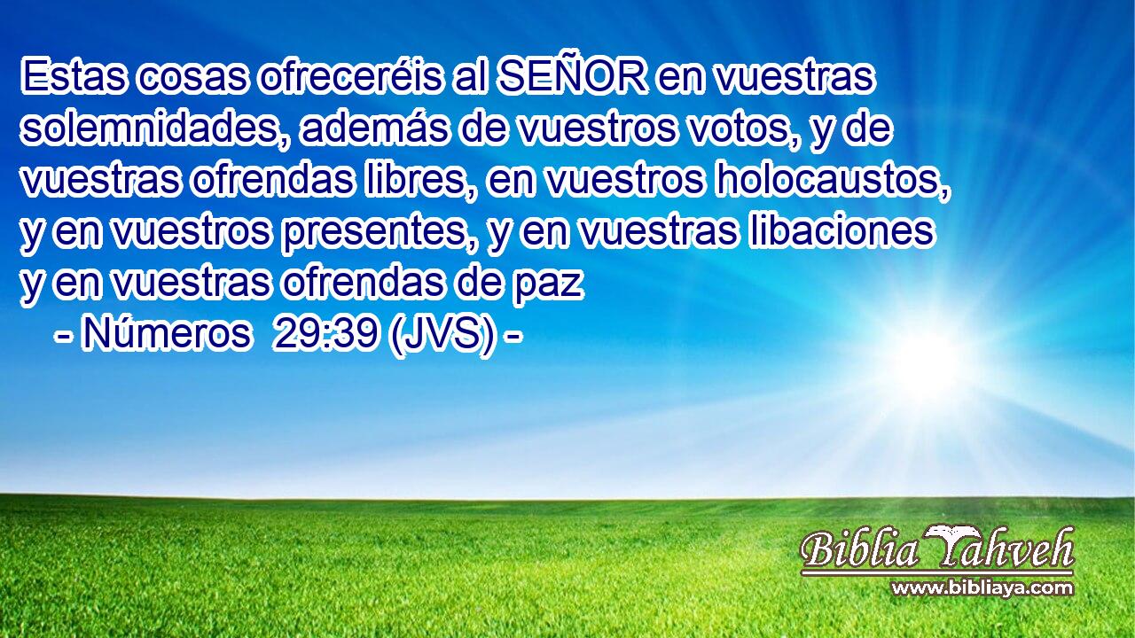 Estas cosas ofreceréis al SEÑOR en vuestras solemnidades, además de vuestros votos, y de vuestras ofrendas libres, en vuestros holocaustos, y en vuestros presentes, y en vuestras libaciones y en vuestras ofrendas de paz