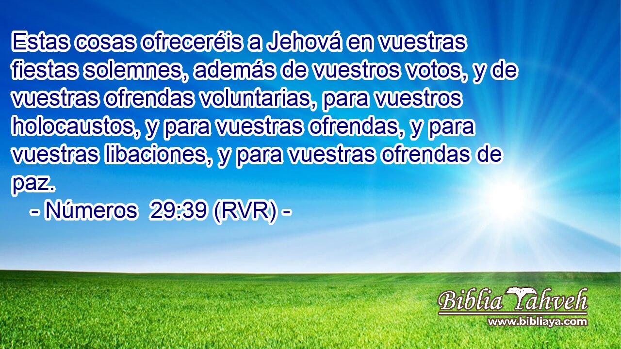 Estas cosas ofreceréis a Jehová en vuestras fiestas solemnes, además de vuestros votos, y de vuestras ofrendas voluntarias, para vuestros holocaustos, y para vuestras ofrendas, y para vuestras libaciones, y para vuestras ofrendas de paz.