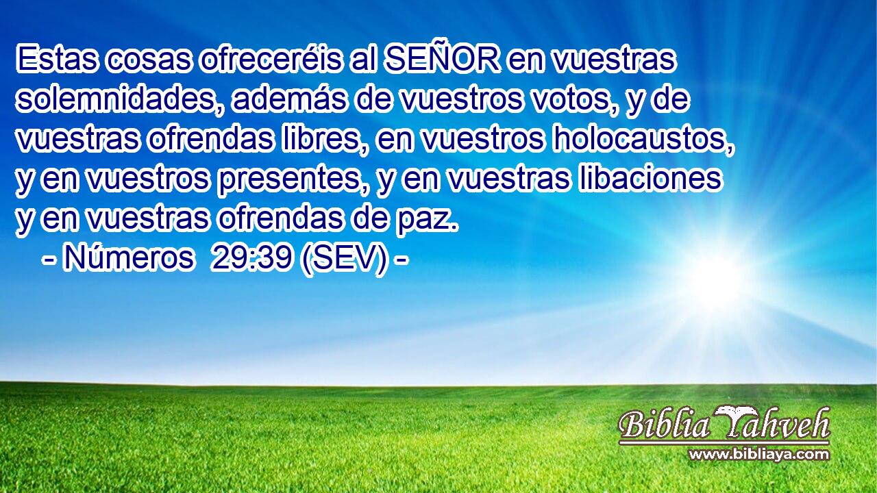 Estas cosas ofreceréis al SEÑOR en vuestras solemnidades, además de vuestros votos, y de vuestras ofrendas libres, en vuestros holocaustos, y en vuestros presentes, y en vuestras libaciones y en vuestras ofrendas de paz.