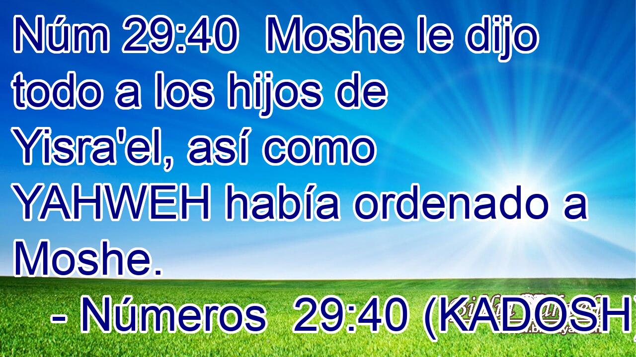  Moshe le dijo todo a los hijos de Yisra'el, así como YAHWEH había ordenado a Moshe. 