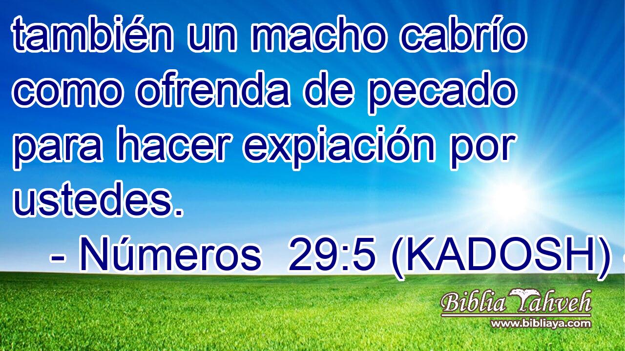  también un macho cabrío como ofrenda de pecado para hacer expiación por ustedes. 