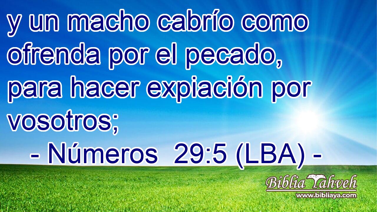 y un macho cabrío como ofrenda por el pecado, para hacer expiación por vosotros;