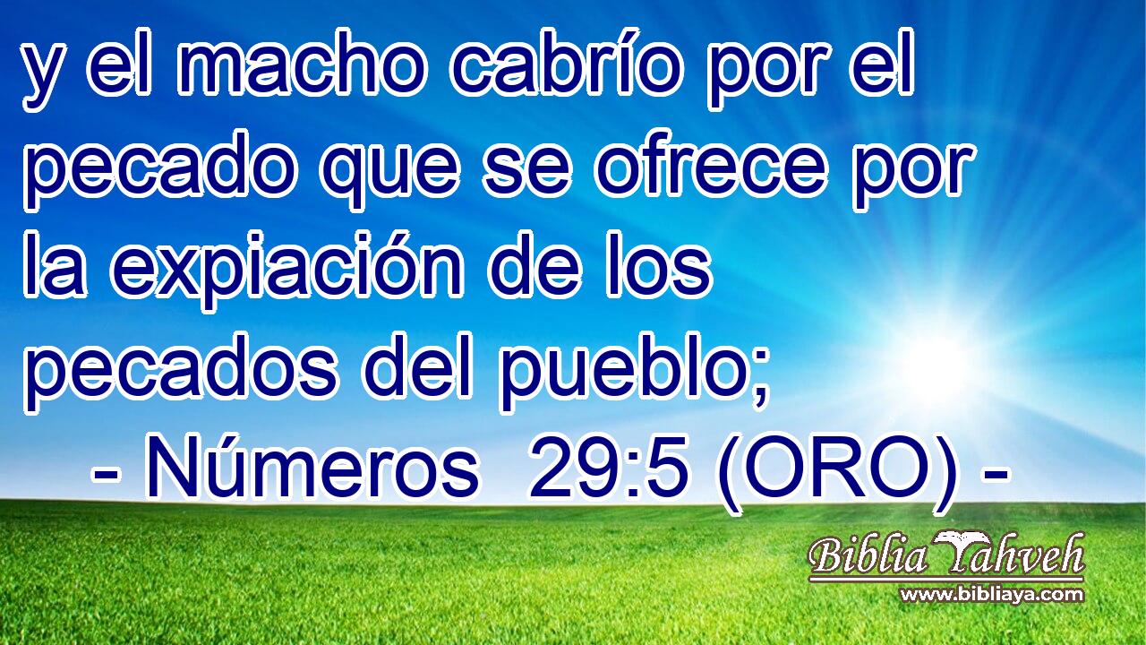  y el macho cabrío por el pecado que se ofrece por la expiación de los pecados del pueblo; 
