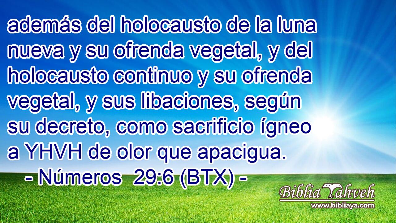 además del holocausto de la luna nueva y su ofrenda vegetal, y del holocausto continuo y su ofrenda vegetal, y sus libaciones, según su decreto, como sacrificio ígneo a YHVH de olor que apacigua.