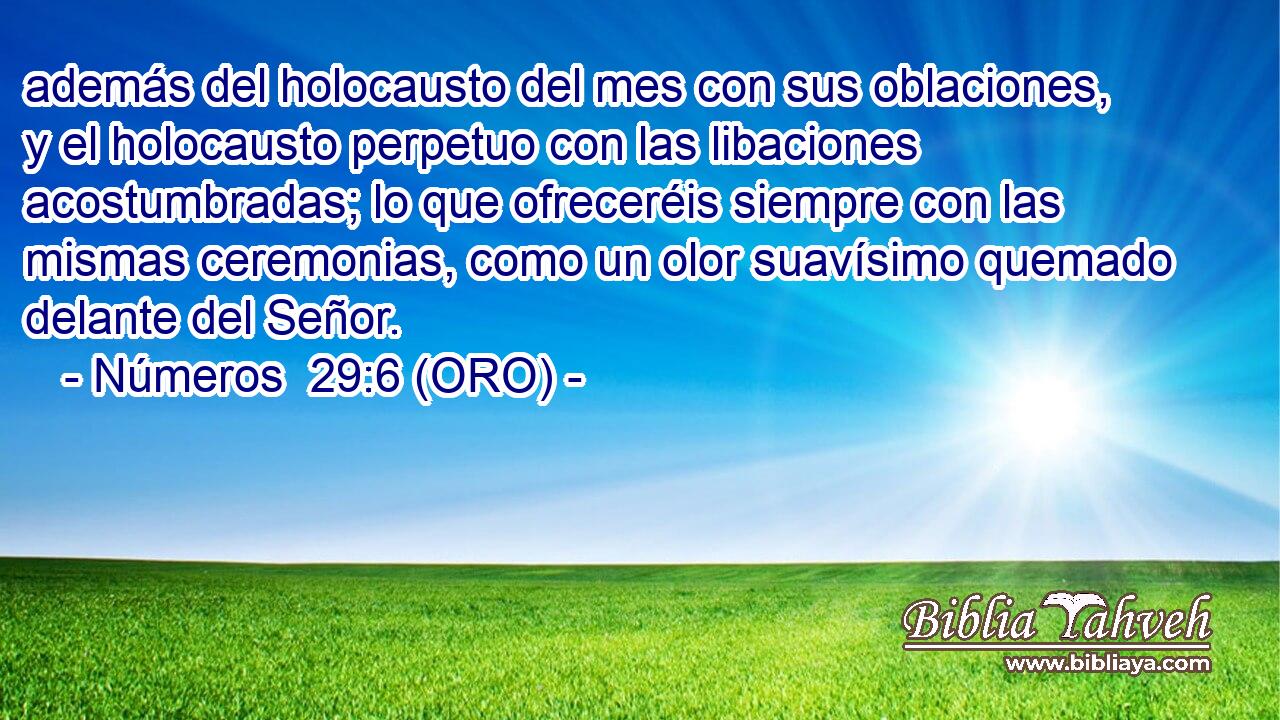  además del holocausto del mes con sus oblaciones, y el holocausto perpetuo con las libaciones acostumbradas; lo que ofreceréis siempre con las mismas ceremonias, como un olor suavísimo quemado delante del Señor. 