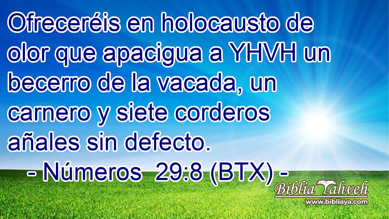 Ofreceréis en holocausto de olor que apacigua a YHVH un becerro de la vacada, un carnero y siete corderos añales sin defecto.