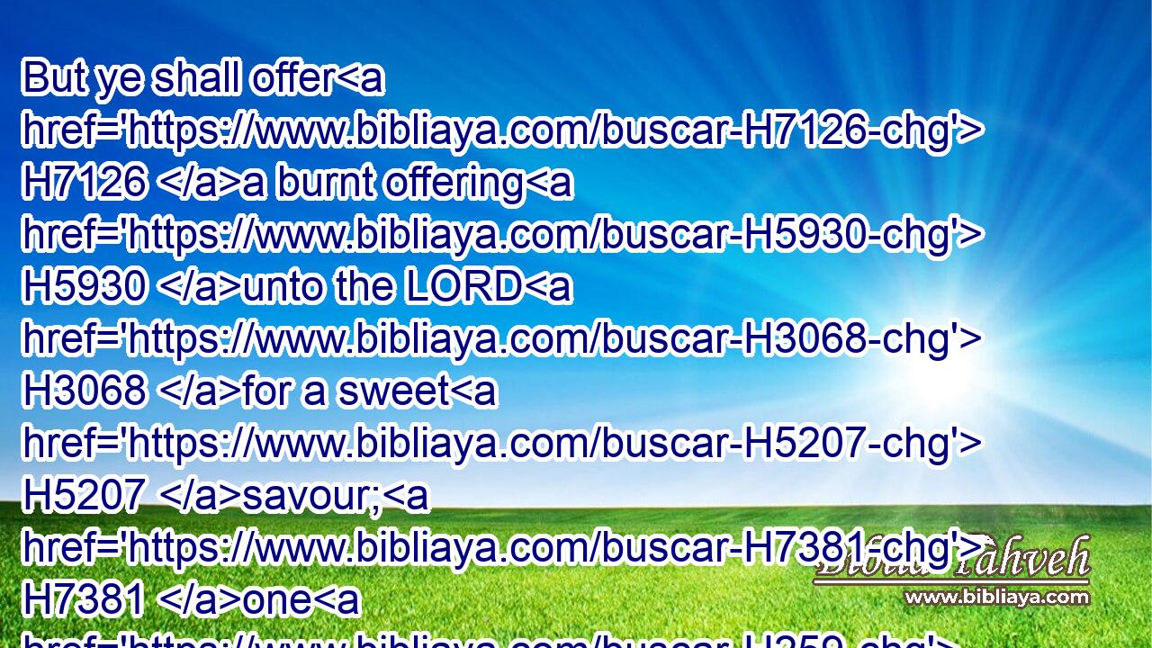 But ye shall offer H7126 a burnt offering H5930 unto the LORD H3068 for a sweet H5207 savour; H7381 one H259 young H1121  H1241 bullock, H6499 one H259 ram, H352 and seven H7651 lambs H3532 of the first H1121 year; H8141 they shall be H1961 unto you without blemish:H8549