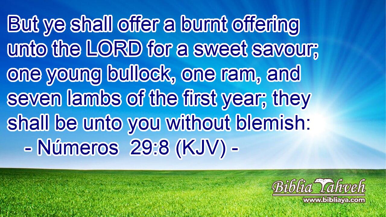 But ye shall offer a burnt offering unto the LORD for a sweet savour; one young bullock, one ram, and seven lambs of the first year; they shall be unto you without blemish: