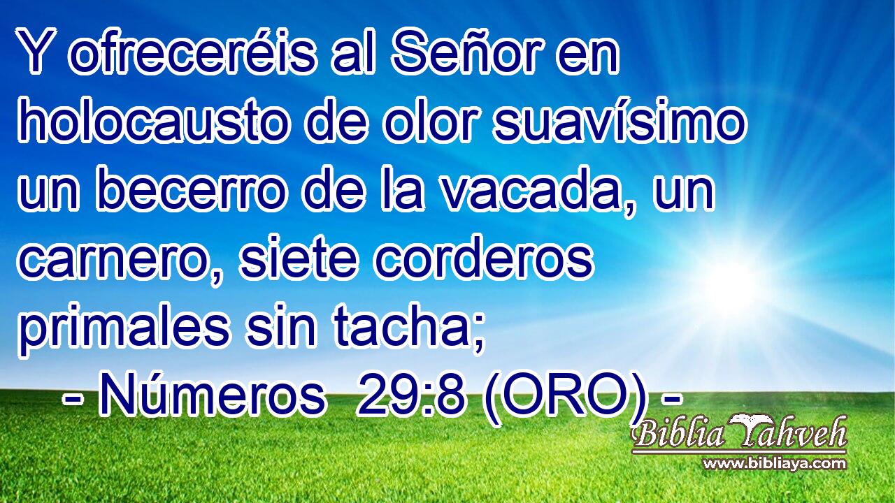  Y ofreceréis al Señor en holocausto de olor suavísimo un becerro de la vacada, un carnero, siete corderos primales sin tacha; 