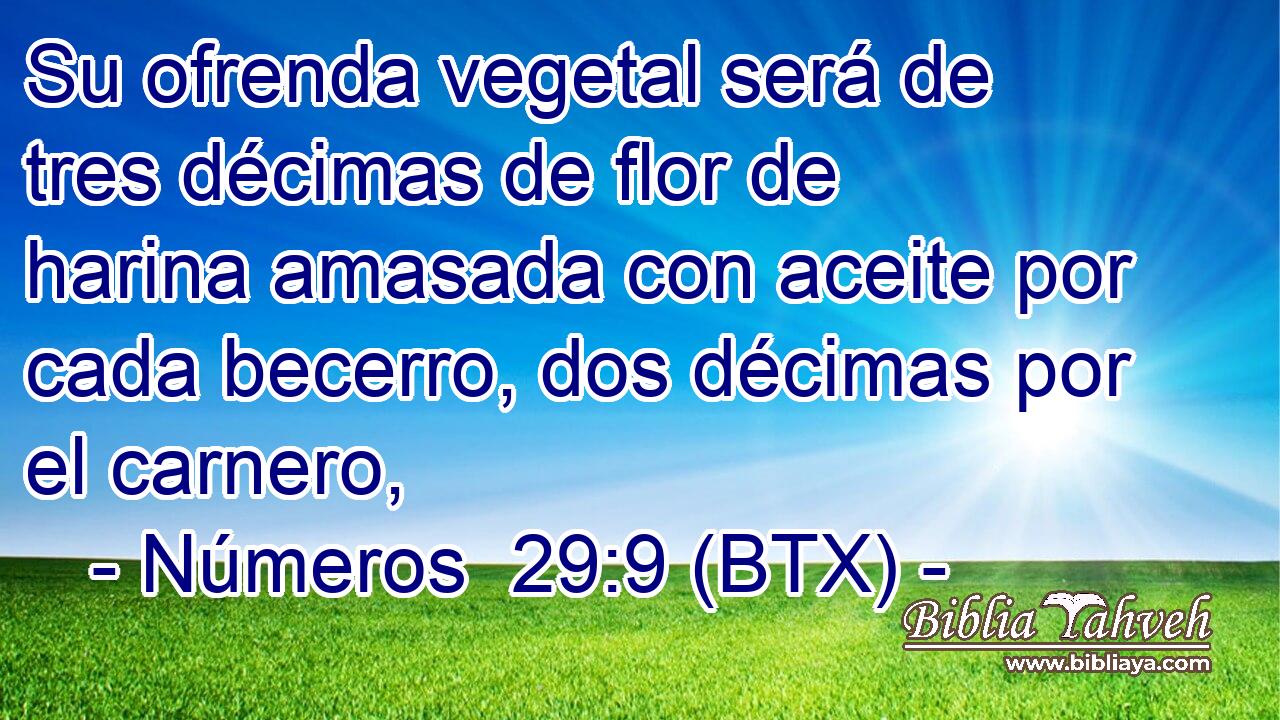 Su ofrenda vegetal será de tres décimas de flor de harina amasada con aceite por cada becerro, dos décimas por el carnero,