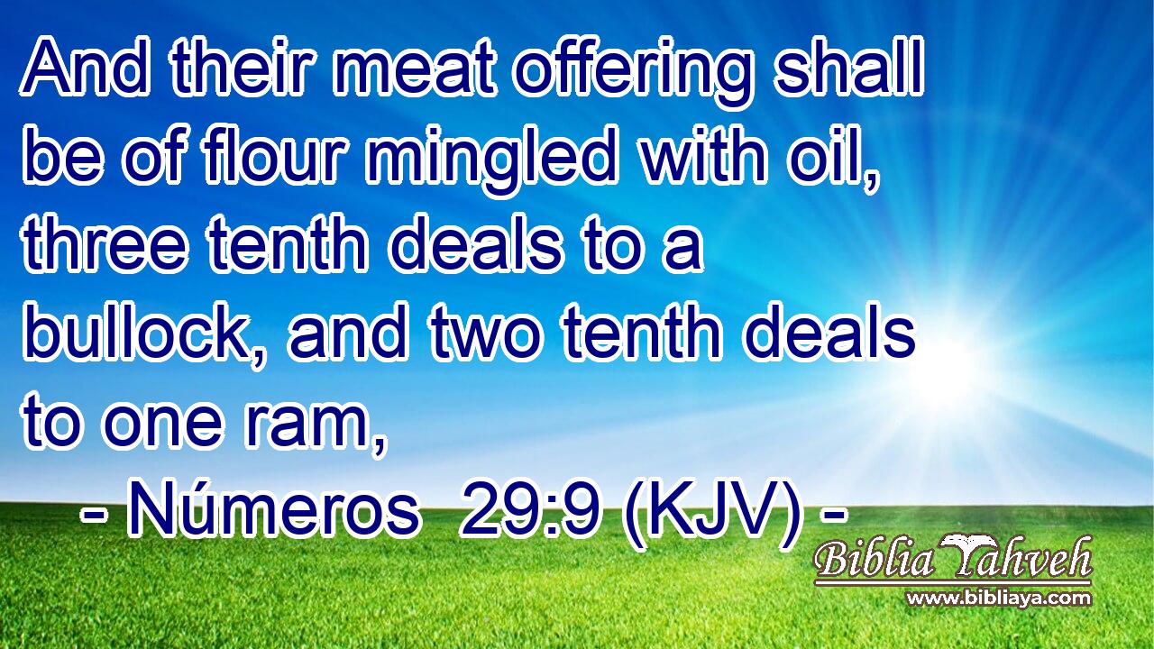 And their meat offering shall be of flour mingled with oil, three tenth deals to a bullock, and two tenth deals to one ram,