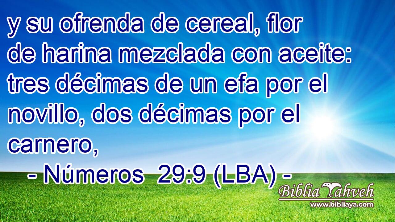 y su ofrenda de cereal, flor de harina mezclada con aceite: tres décimas de un efa por el novillo, dos décimas por el carnero,