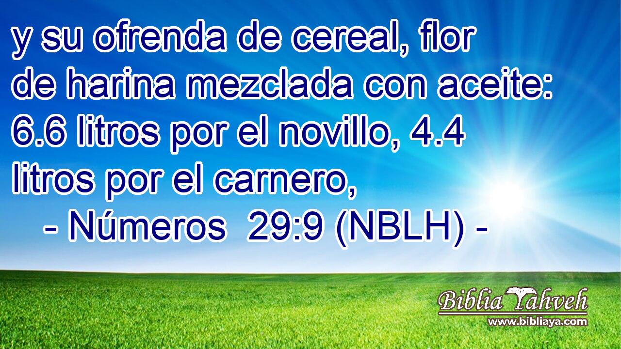  y su ofrenda de cereal, flor de harina mezclada con aceite: 6.6 litros por el novillo, 4.4 litros por el carnero, 