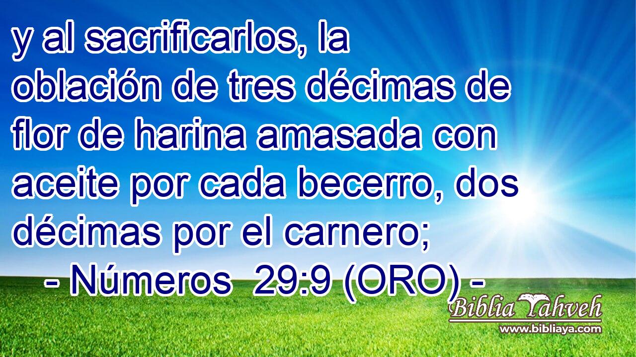  y al sacrificarlos, la oblación de tres décimas de flor de harina amasada con aceite por cada becerro, dos décimas por el carnero; 
