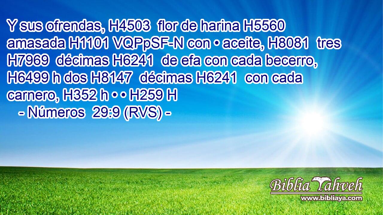 Y sus ofrendas, H4503  flor de harina H5560  amasada H1101 VQPpSF-N con • aceite, H8081  tres H7969  décimas H6241  de efa con cada becerro, H6499 h dos H8147  décimas H6241  con cada carnero, H352 h • • H259 H 