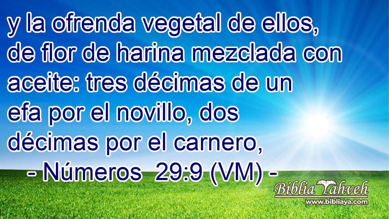  y la ofrenda vegetal de ellos, de flor de harina mezclada con aceite: tres décimas de un efa por el novillo, dos décimas por el carnero, 