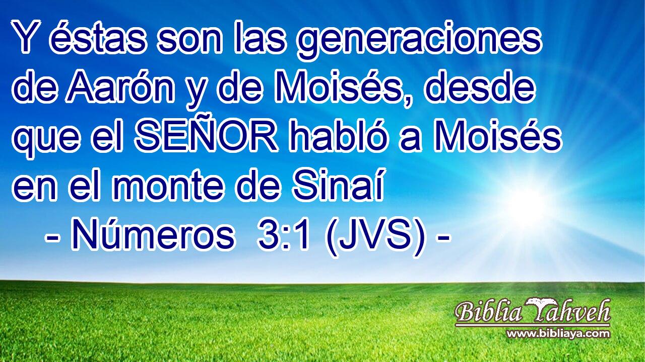 Y éstas son las generaciones de Aarón y de Moisés, desde que el SEÑOR habló a Moisés en el monte de Sinaí