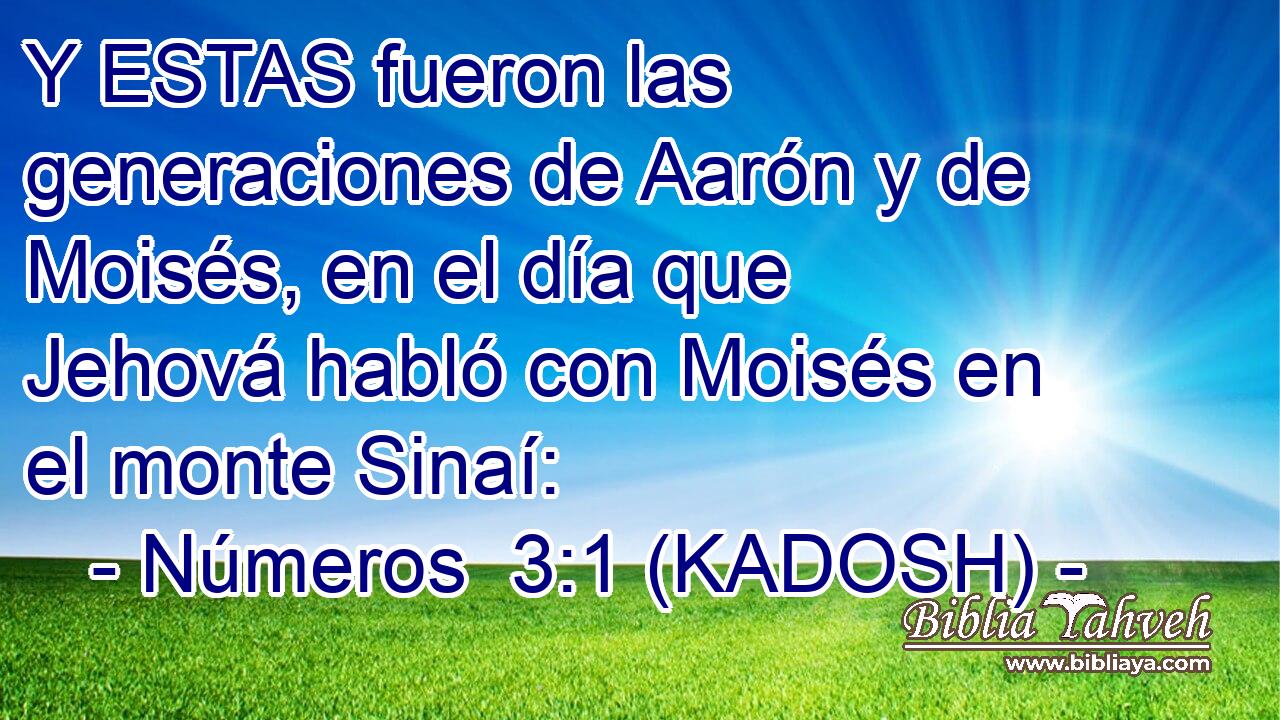  Y ESTAS fueron las generaciones de Aarón y de Moisés, en el día que Jehová habló con Moisés en el monte Sinaí: 