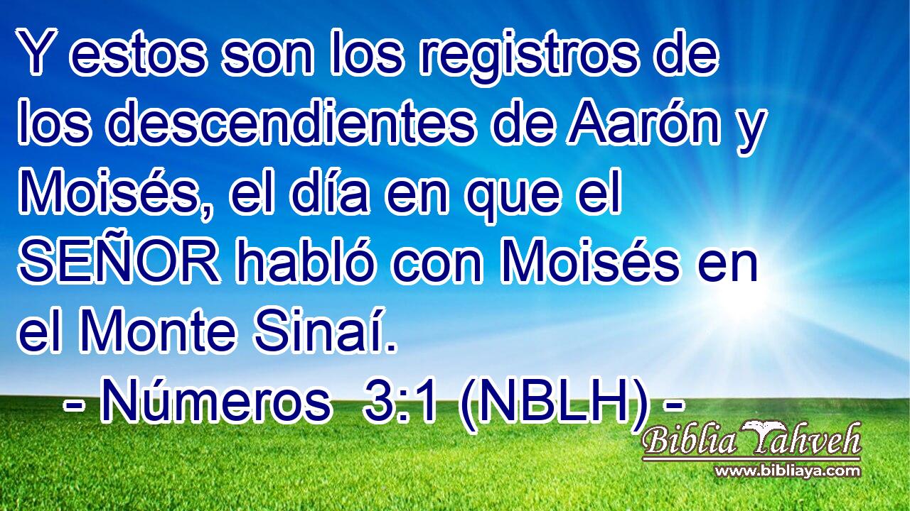  Y estos son los registros de los descendientes de Aarón y Moisés, el día en que el SEÑOR habló con Moisés en el Monte Sinaí. 