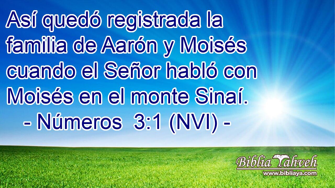  Así quedó registrada la familia de Aarón y Moisés cuando el Señor habló con Moisés en el monte Sinaí. 