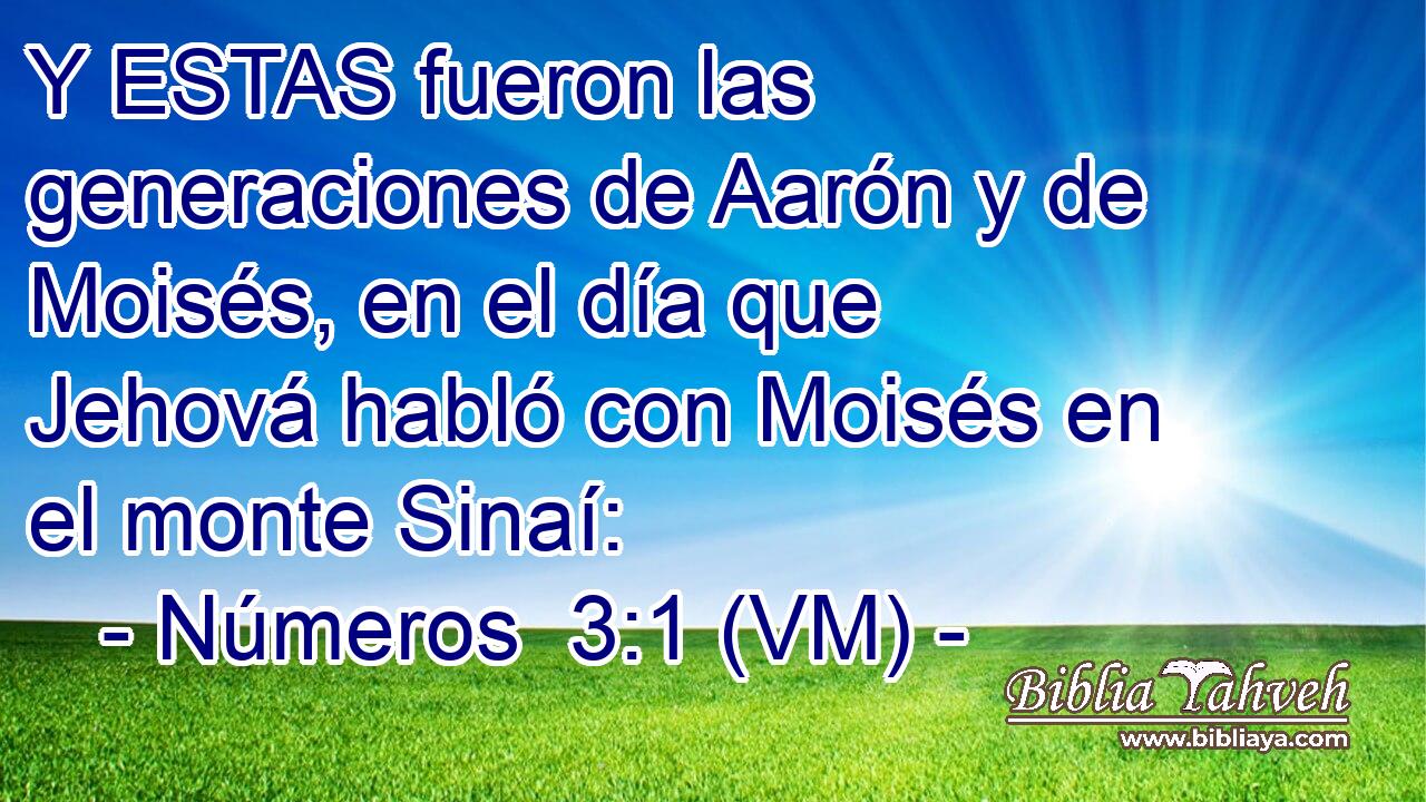  Y ESTAS fueron las generaciones de Aarón y de Moisés, en el día que Jehová habló con Moisés en el monte Sinaí: 