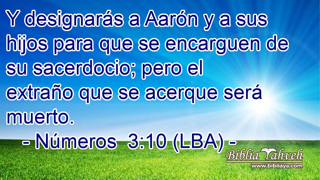 Y designarás a Aarón y a sus hijos para que se encarguen de su sacerdocio; pero el extraño que se acerque será muerto.