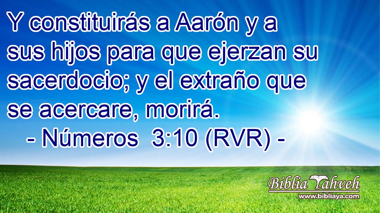 Y constituirás a Aarón y a sus hijos para que ejerzan su sacerdocio; y el extraño que se acercare, morirá.