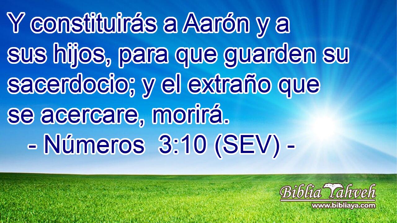 Y constituirás a Aarón y a sus hijos, para que guarden su sacerdocio; y el extraño que se acercare, morirá.