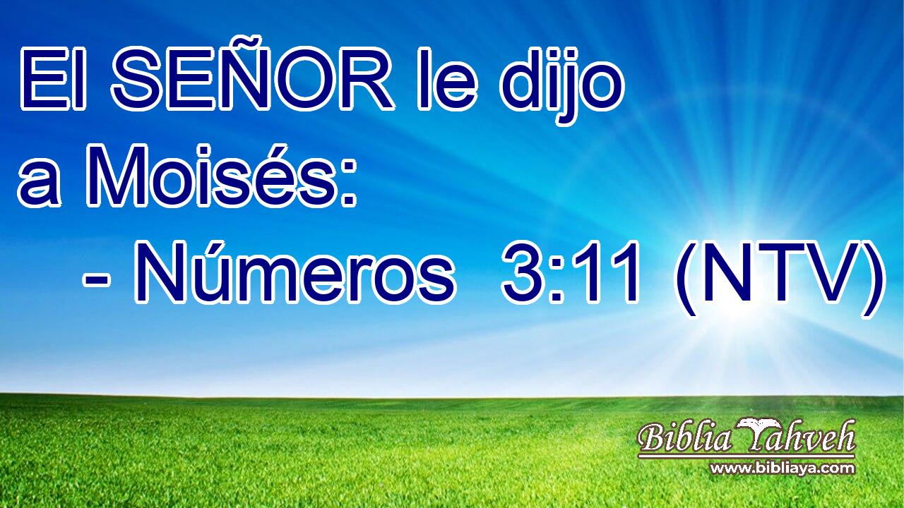 El SEÑOR le dijo a Moisés: