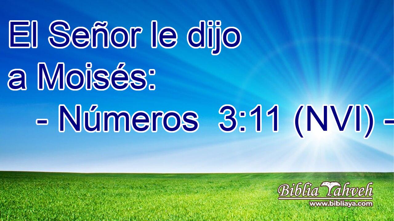  El Señor le dijo a Moisés: 