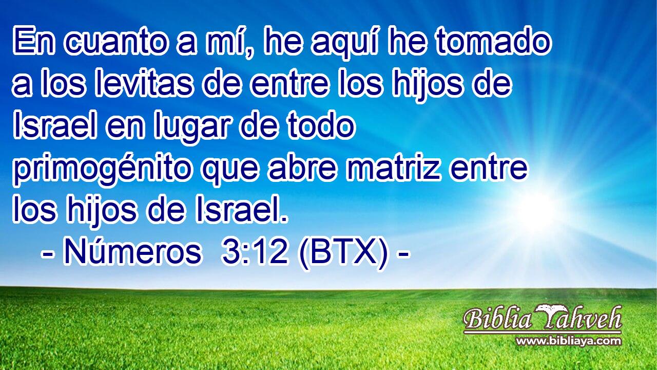 En cuanto a mí, he aquí he tomado a los levitas de entre los hijos de Israel en lugar de todo primogénito que abre matriz entre los hijos de Israel.