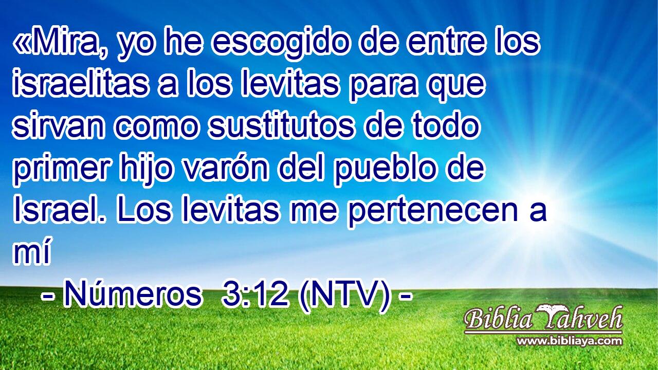 «Mira, yo he escogido de entre los israelitas a los levitas para que sirvan como sustitutos de todo primer hijo varón del pueblo de Israel. Los levitas me pertenecen a mí