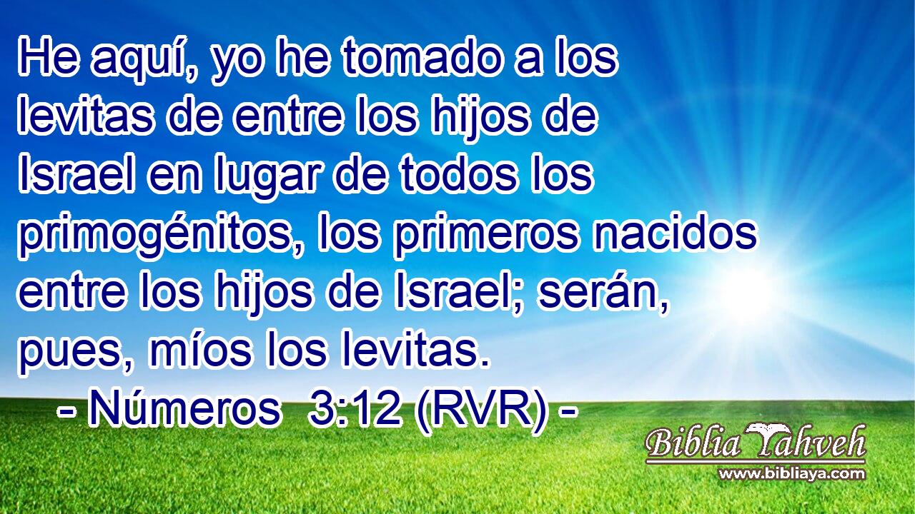 He aquí, yo he tomado a los levitas de entre los hijos de Israel en lugar de todos los primogénitos, los primeros nacidos entre los hijos de Israel; serán, pues, míos los levitas.