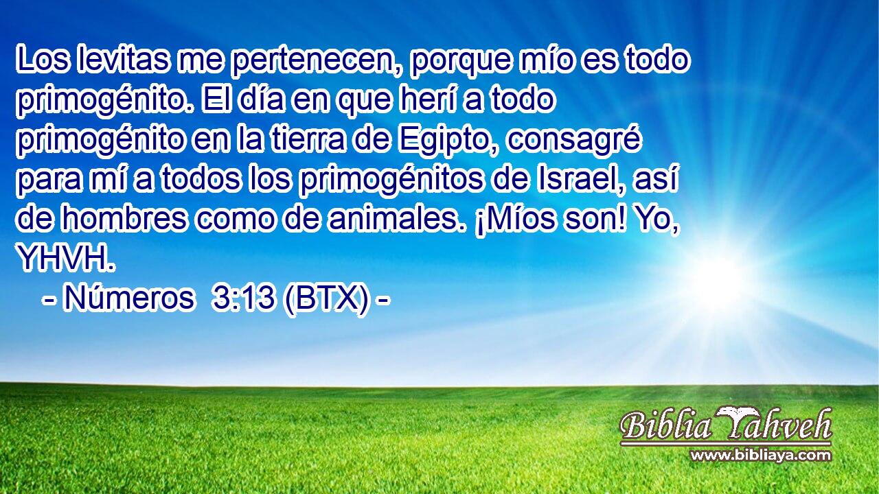 Los levitas me pertenecen, porque mío es todo primogénito. El día en que herí a todo primogénito en la tierra de Egipto, consagré para mí a todos los primogénitos de Israel, así de hombres como de animales. ¡Míos son! Yo, YHVH.
