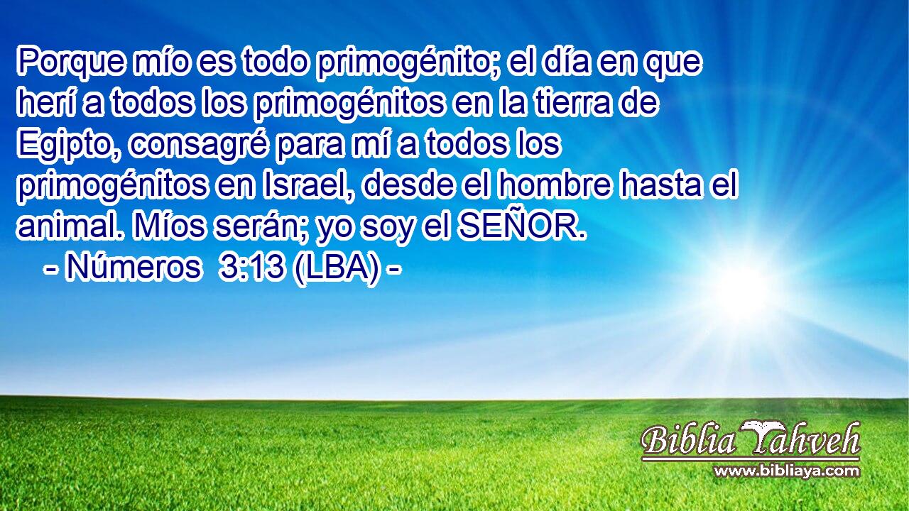 Porque mío es todo primogénito; el día en que herí a todos los primogénitos en la tierra de Egipto, consagré para mí a todos los primogénitos en Israel, desde el hombre hasta el animal. Míos serán; yo soy el SEÑOR.