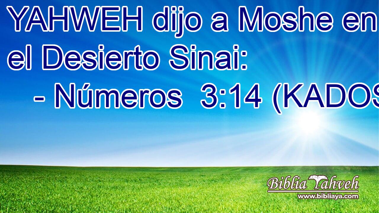  YAHWEH dijo a Moshe en el Desierto Sinai: 