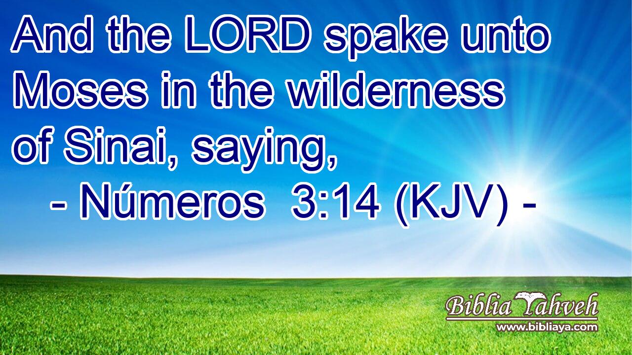 And the LORD spake unto Moses in the wilderness of Sinai, saying,