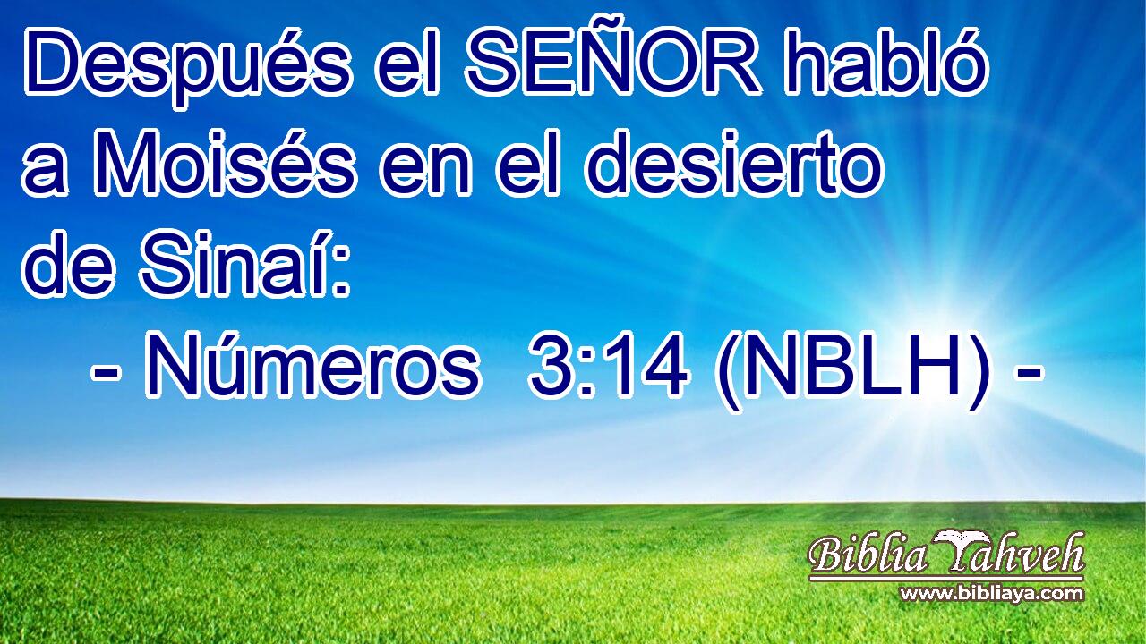  Después el SEÑOR habló a Moisés en el desierto de Sinaí: 