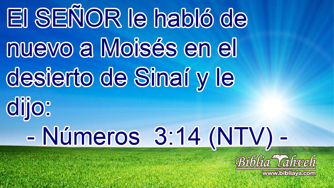 El SEÑOR le habló de nuevo a Moisés en el desierto de Sinaí y le dijo: