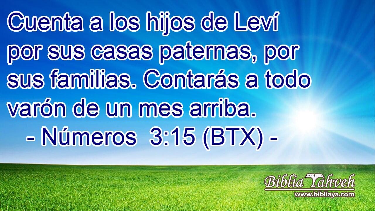 Cuenta a los hijos de Leví por sus casas paternas, por sus familias. Contarás a todo varón de un mes arriba.