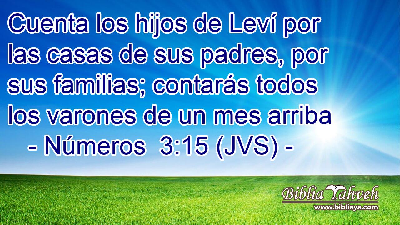 Cuenta los hijos de Leví por las casas de sus padres, por sus familias; contarás todos los varones de un mes arriba