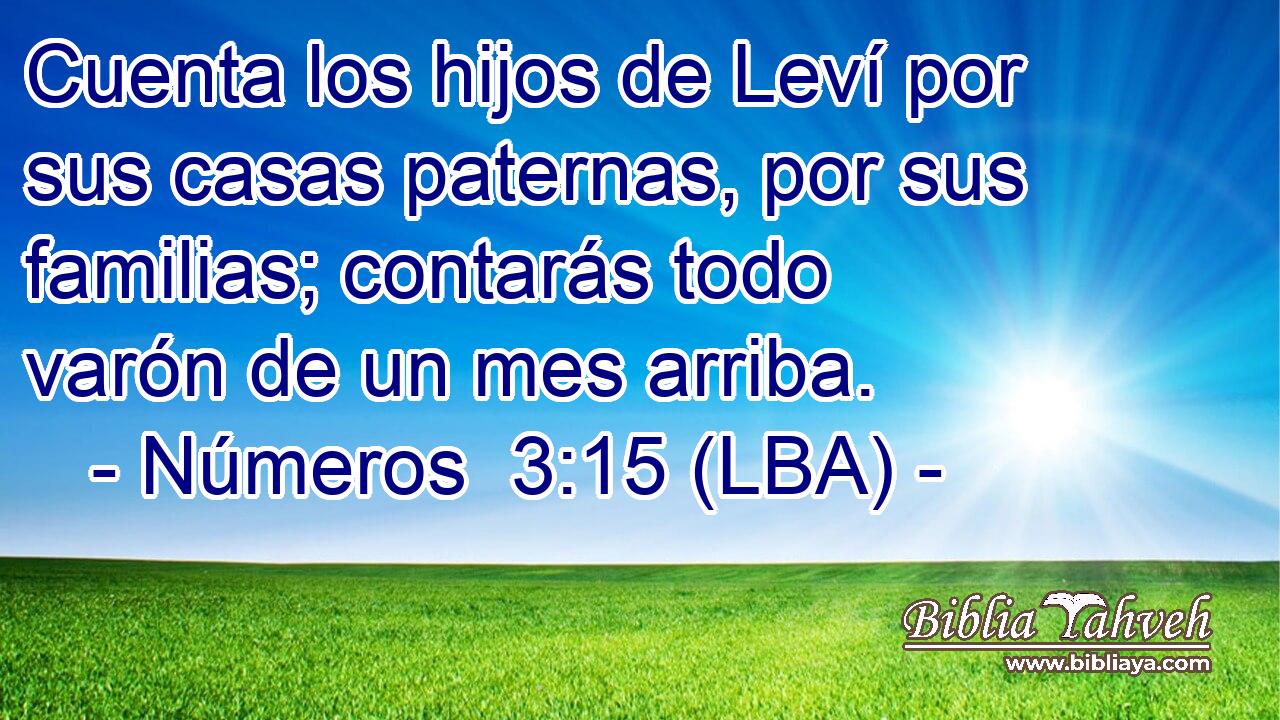 Cuenta los hijos de Leví por sus casas paternas, por sus familias; contarás todo varón de un mes arriba.